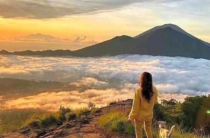 Guest house Dono