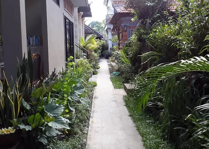 Dono Ubud (Bali)