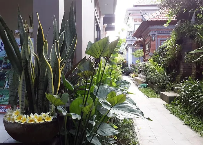Guest house Dono 2*