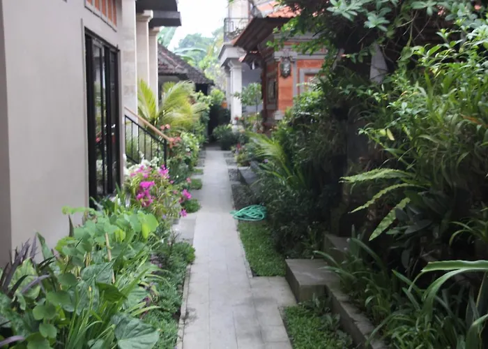 Dono Ubud (Bali)